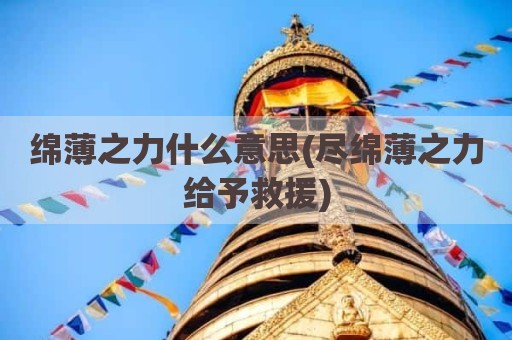 绵薄之力什么意思(尽绵薄之力给予救援)
