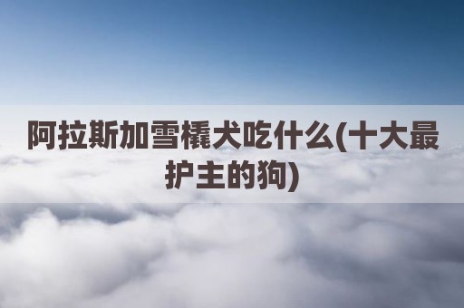 阿拉斯加雪橇犬吃什么(十大最护主的狗)