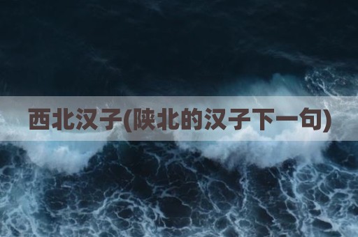 西北汉子(陕北的汉子下一句)