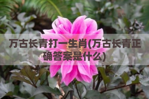 万古长青打一生肖(万古长青正确答案是什么)