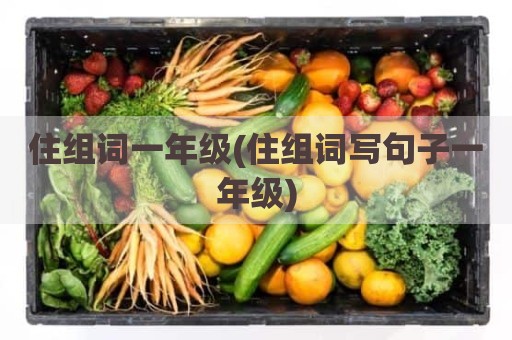 住组词一年级(住组词写句子一年级)