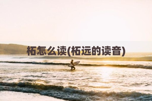 柘怎么读(柘远的读音)