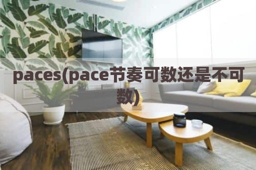 paces(pace节奏可数还是不可数)