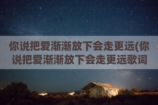 你说把爱渐渐放下会走更远(你说把爱渐渐放下会走更远歌词)