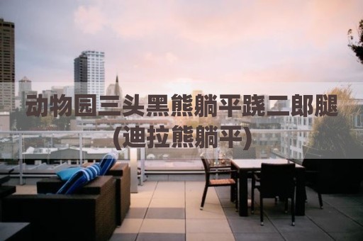 动物园三头黑熊躺平跷二郎腿(迪拉熊躺平)