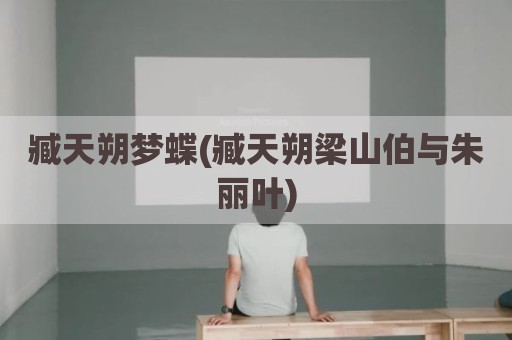 臧天朔梦蝶(臧天朔梁山伯与朱丽叶)