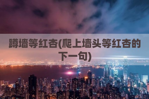 蹲墙等红杏(爬上墙头等红杏的下一句)