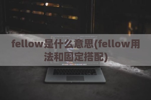 fellow是什么意思(fellow用法和固定搭配)
