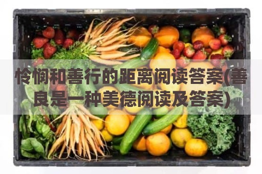 怜悯和善行的距离阅读答案(善良是一种美德阅读及答案)