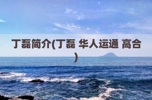 丁磊简介(丁磊 华人运通 高合)