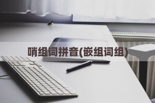 哨组词拼音(嵌组词组)