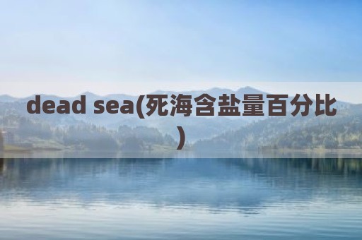 dead sea(死海含盐量百分比)