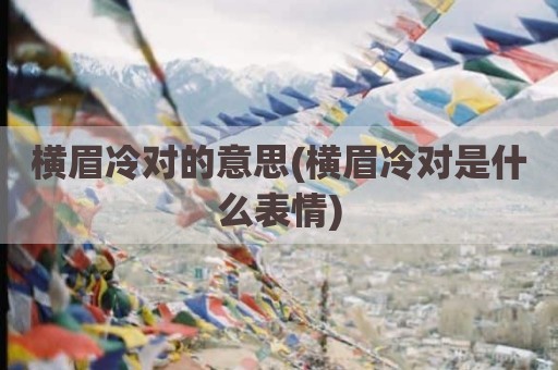 横眉冷对的意思(横眉冷对是什么表情)