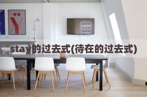 stay的过去式(待在的过去式)