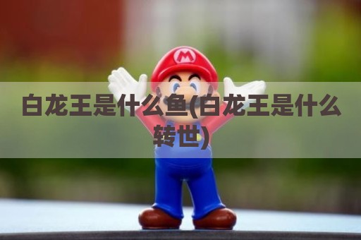 白龙王是什么鱼(白龙王是什么转世)