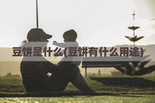 豆饼是什么(豆饼有什么用途)