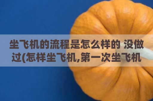 坐飞机的流程是怎么样的 没做过(怎样坐飞机,第一次坐飞机具体流程)