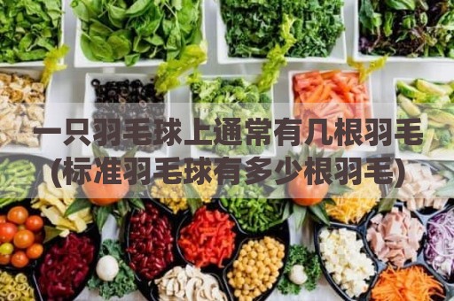 一只羽毛球上通常有几根羽毛(标准羽毛球有多少根羽毛)