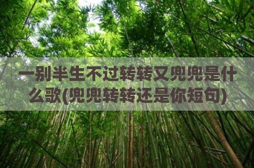 一别半生不过转转又兜兜是什么歌(兜兜转转还是你短句)