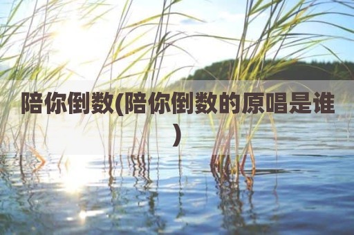 陪你倒数(陪你倒数的原唱是谁)