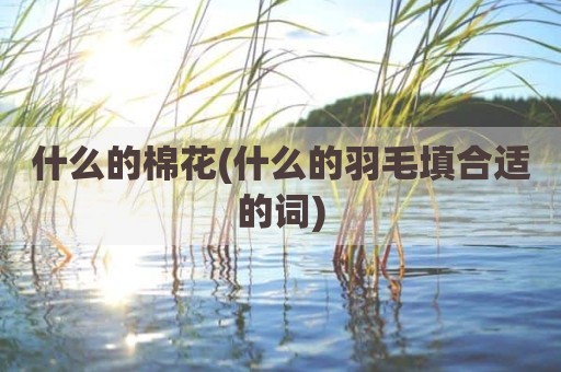 什么的棉花(什么的羽毛填合适的词)