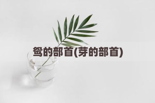 鸳的部首(芽的部首)