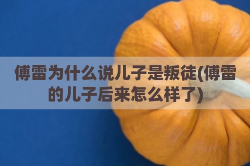 傅雷为什么说儿子是叛徒(傅雷的儿子后来怎么样了)