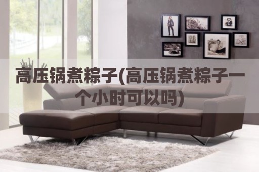 高压锅煮粽子(高压锅煮粽子一个小时可以吗)