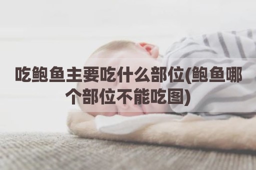 吃鲍鱼主要吃什么部位(鲍鱼哪个部位不能吃图)
