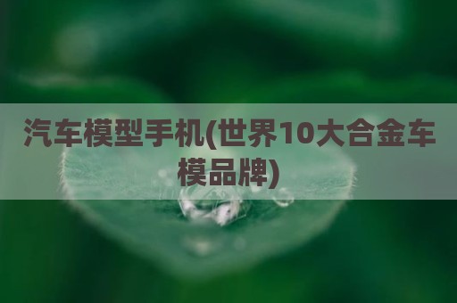 汽车模型手机(世界10大合金车模品牌)