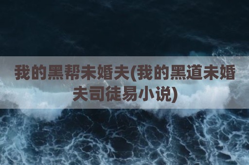 我的黑帮未婚夫(我的黑道未婚夫司徒易小说)