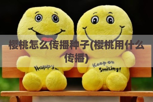 樱桃怎么传播种子(樱桃用什么传播)