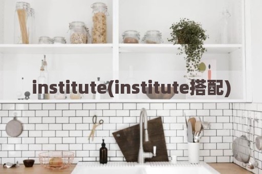 institute(institute搭配)