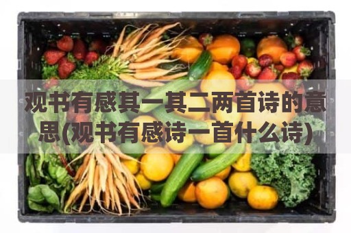 观书有感其一其二两首诗的意思(观书有感诗一首什么诗)