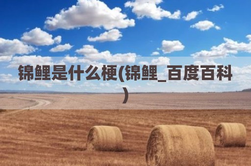 锦鲤是什么梗(锦鲤_百度百科)