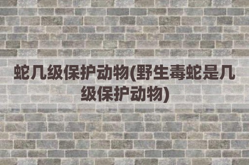 蛇几级保护动物(野生毒蛇是几级保护动物)