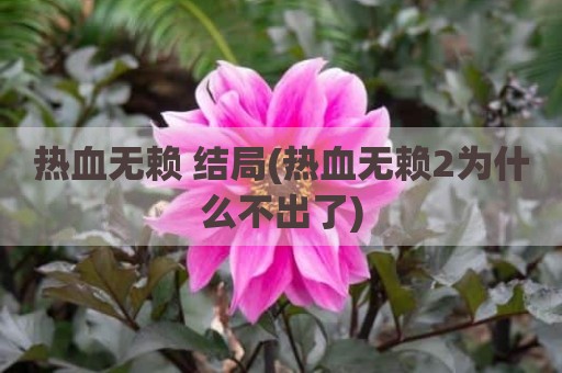热血无赖 结局(热血无赖2为什么不出了)