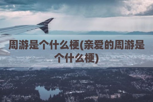 周游是个什么梗(亲爱的周游是个什么梗)