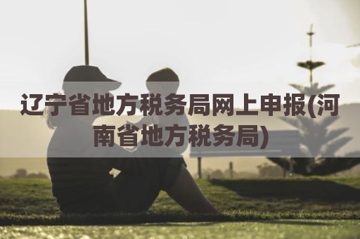 辽宁省地方税务局网上申报(河南省地方税务局)
