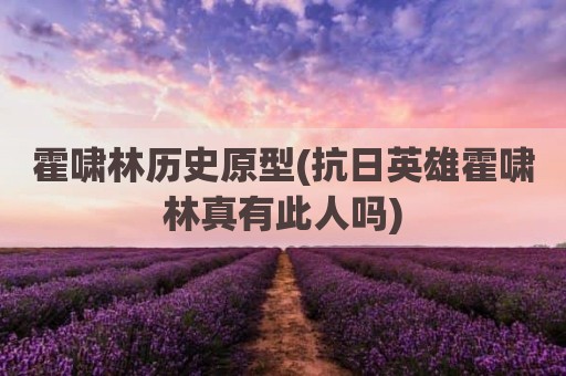 霍啸林历史原型(抗日英雄霍啸林真有此人吗)