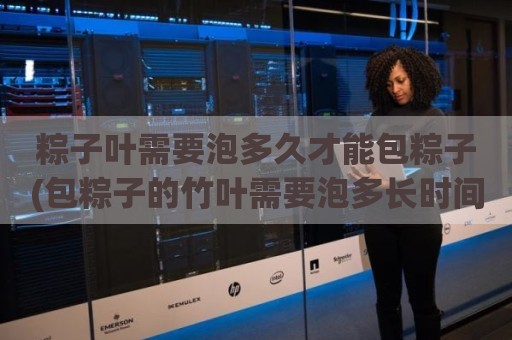 粽子叶需要泡多久才能包粽子(包粽子的竹叶需要泡多长时间)