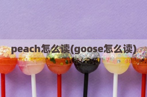 peach怎么读(goose怎么读)