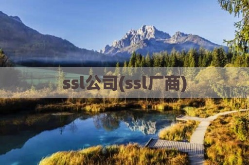 ssl公司(ssl厂商)