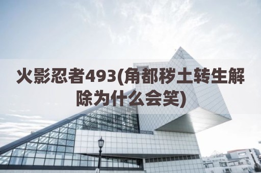 火影忍者493(角都秽土转生解除为什么会笑)