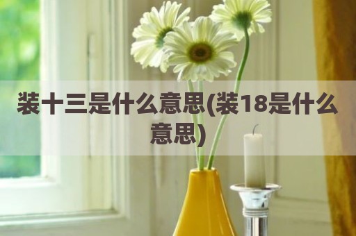 装十三是什么意思(装18是什么意思)