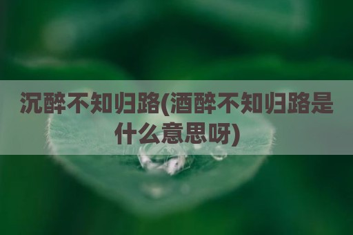 沉醉不知归路(酒醉不知归路是什么意思呀)