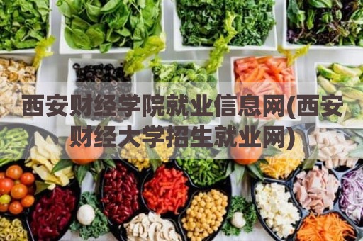 西安财经学院就业信息网(西安财经大学招生就业网)
