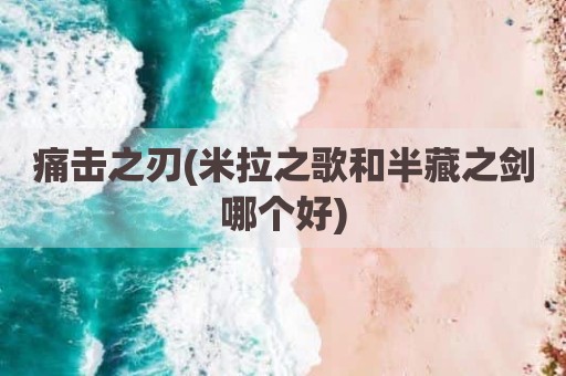 痛击之刃(米拉之歌和半藏之剑哪个好)