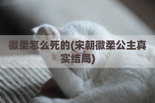 徽柔怎么死的(宋朝徽柔公主真实结局)
