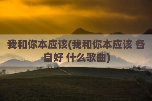 我和你本应该(我和你本应该 各自好 什么歌曲)
